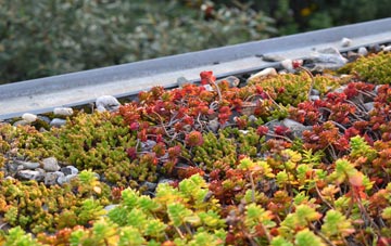 the cost of Four Gotes green roof installation