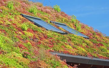 Four Gotes living roof systems