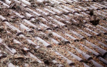 Four Gotes roof cleaning companies