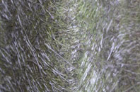 Four Gotes fibreglass roof work