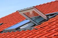 Four Gotes roof window